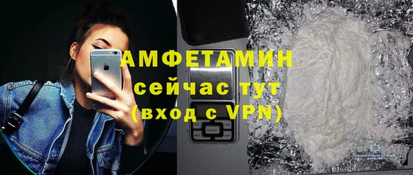 шишки Лабытнанги
